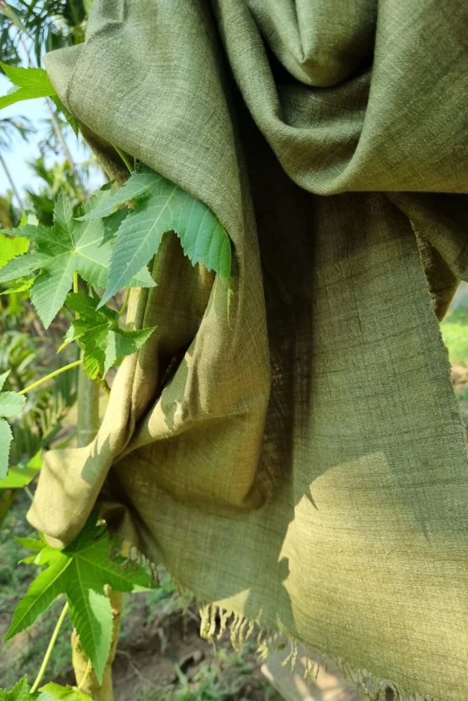 Handwoven Ahimsa Eri silk stole in soft olive-green tones naturally dyed with onion skin, displayed outdoors among green foliage.
